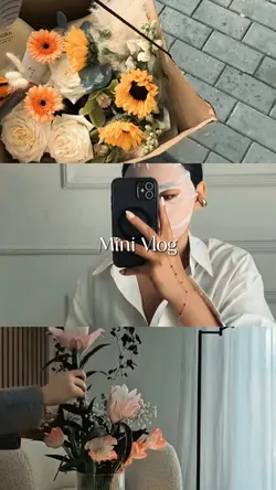 mini vlog