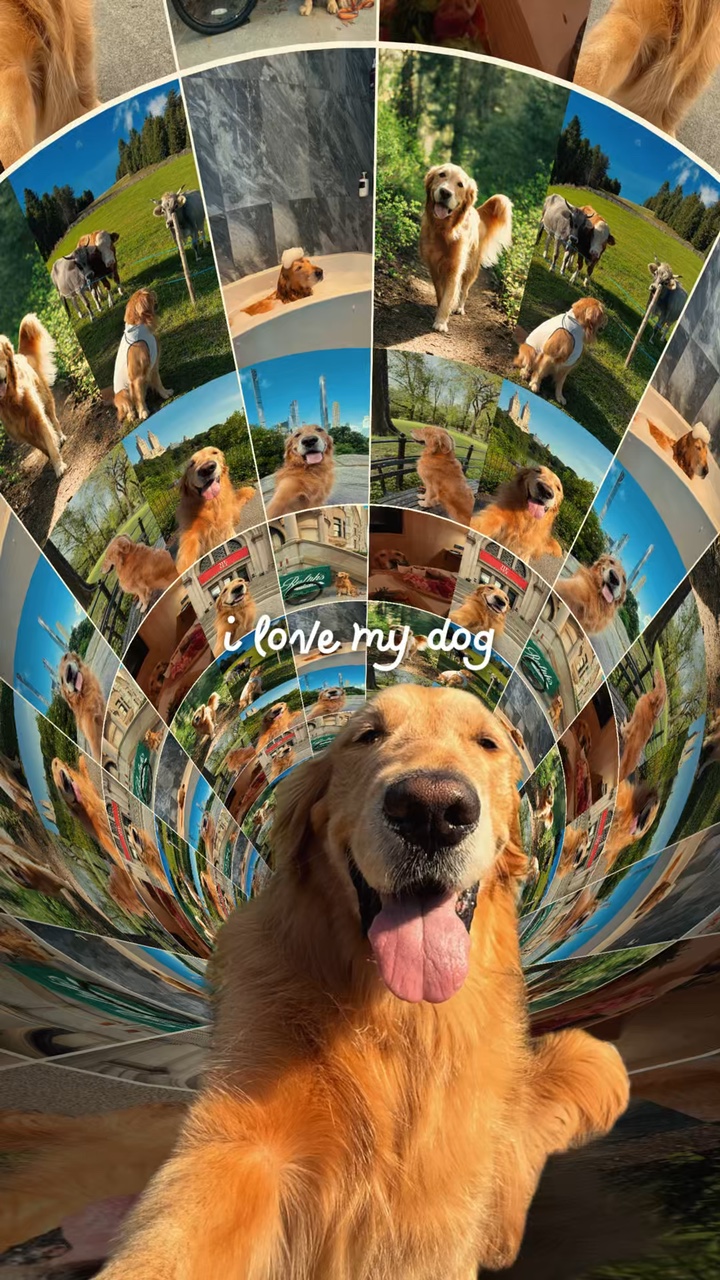 I love my dog