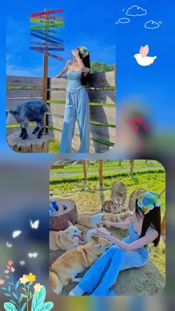 Ghép 2 ảnh + màu