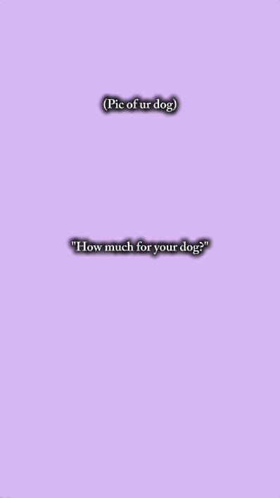 pic of your dog