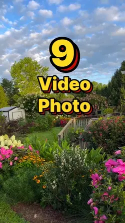 9 video or phone 
