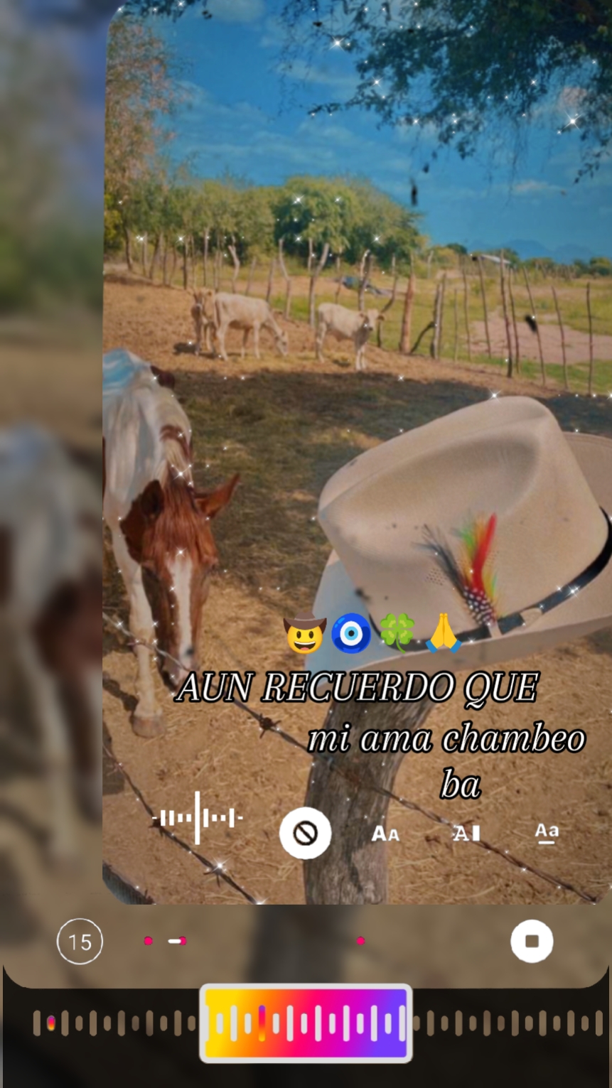 recuerdos mi ranchit