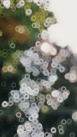 we life in the citie