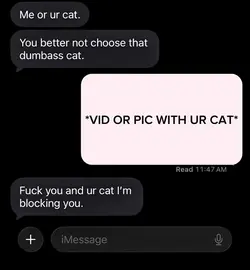 me or ur cat?