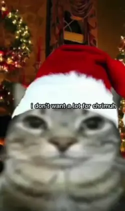 Christmas cat