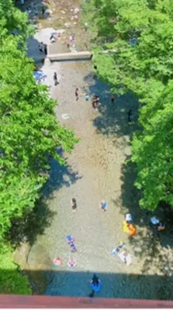 夏の思い出