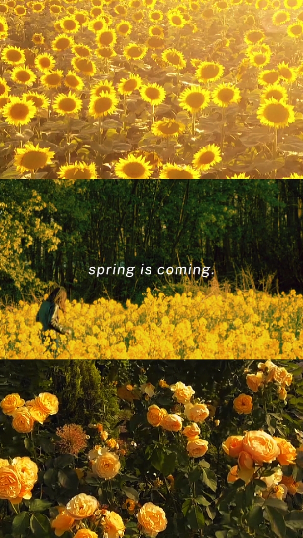 Se acerca la primavera 