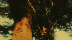 snap