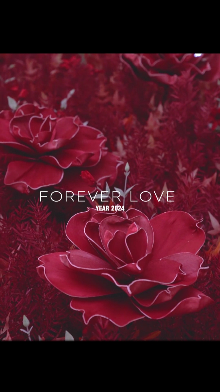 Teaser do casamento