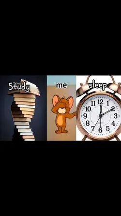 study vs sleep