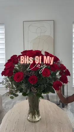 vlog recap