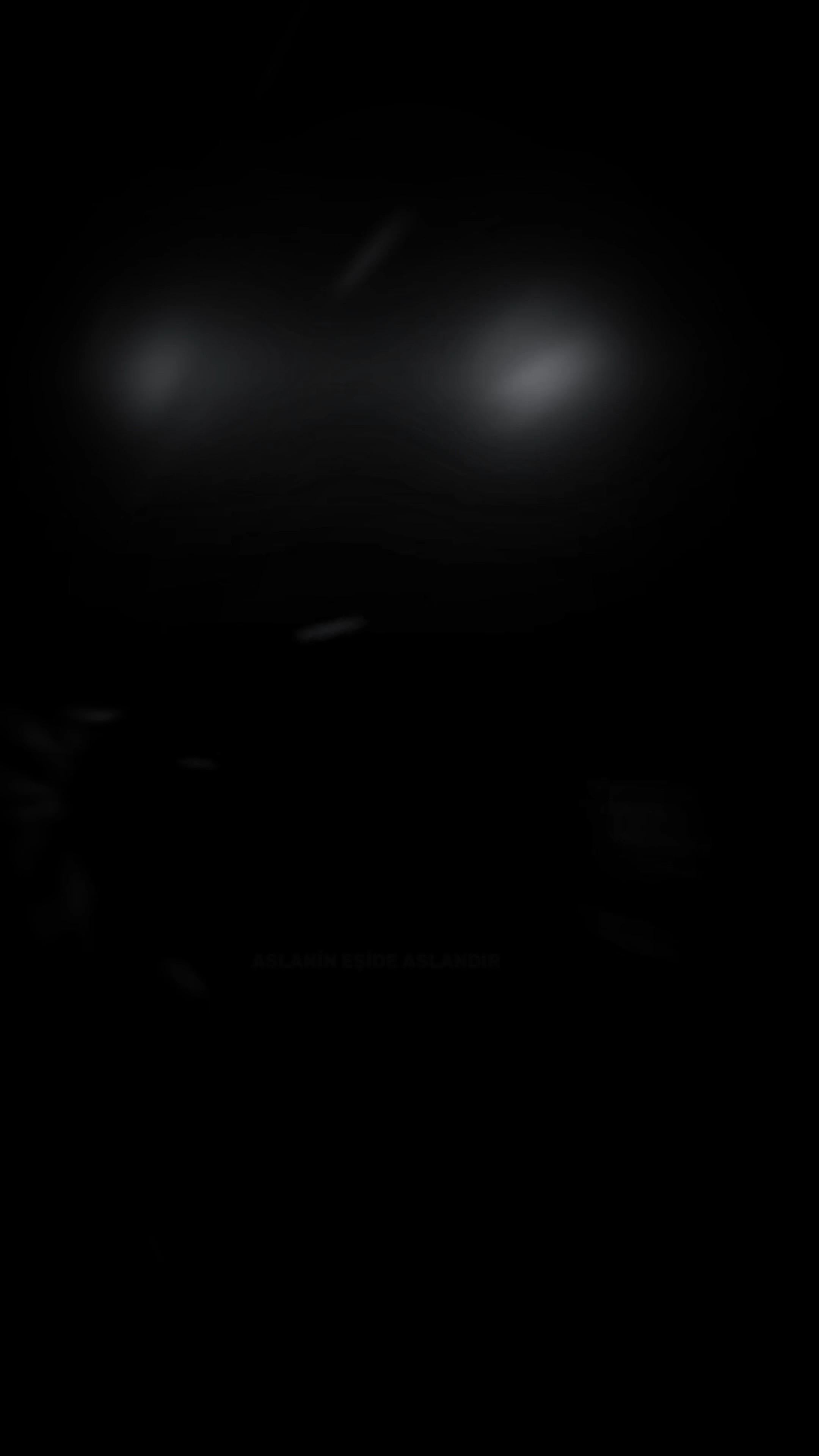 aslanın eşide aslan