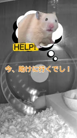 ついに助けに来てくれた日向葵ちゃん