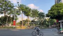 Daily Vlog Diary 50s