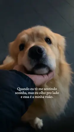Maior amor do mundo
