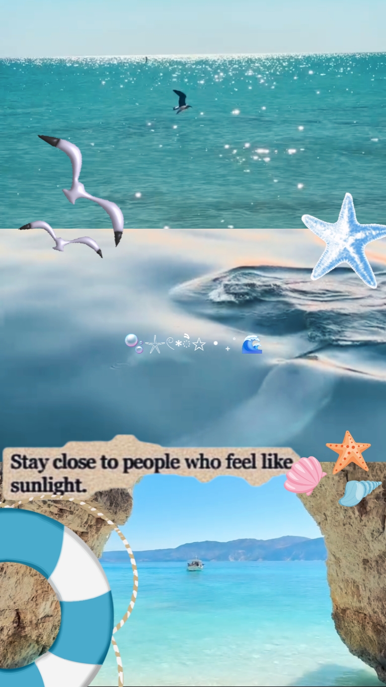 3 grid video