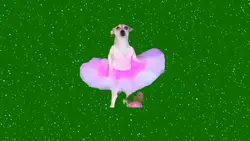 dogballet