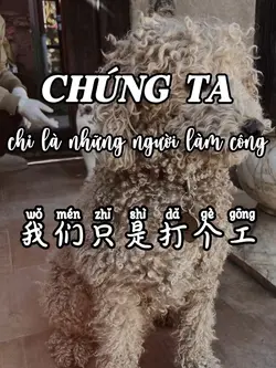 我们只是打个工