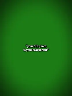 5th photo