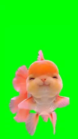 FISH CUTE BIG VERSE