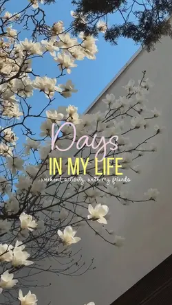 VLOG ACTIVITY 
