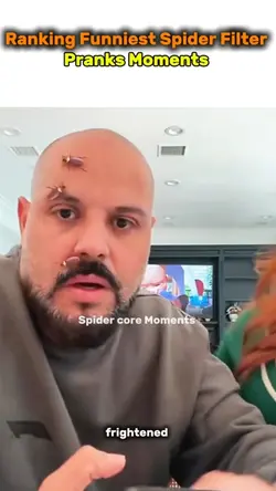 spider filter
