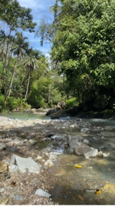 A Natureza Cura