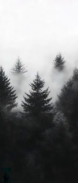 3D Wallpaper