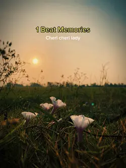 1 Beat Memories