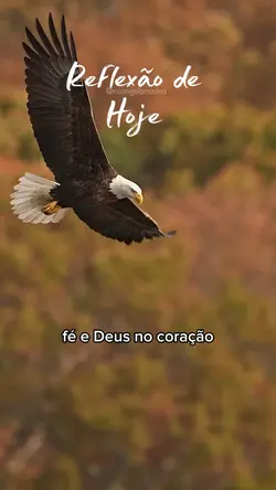 Reflexão bom dia