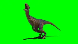 Dinosaurs
