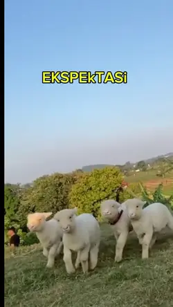 Espektasi VS Realit