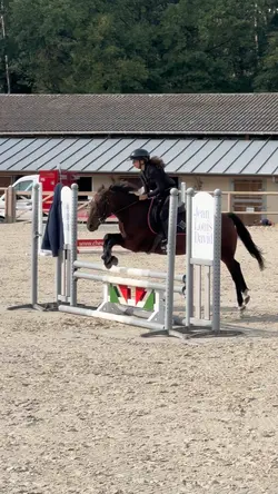 L’équitation
