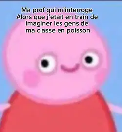 Mdr