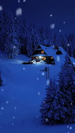 Silent night 