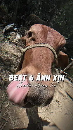 Alo alo thằng bán đồ