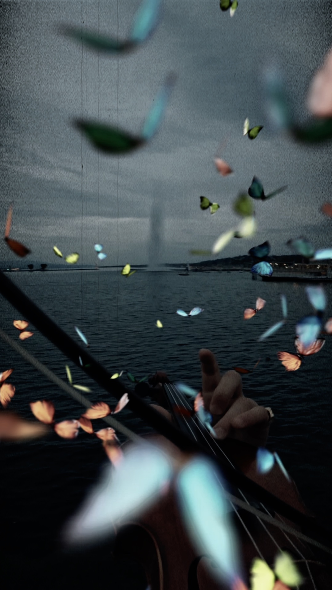 Cover Picture