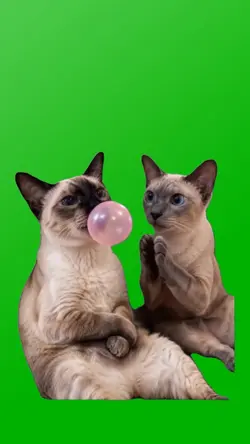 BLOWING GUM 101