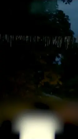 chant sa alien