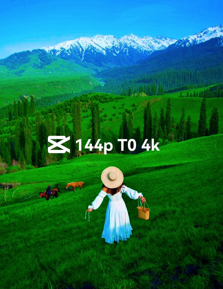 TENDENCIA DE 144P A 4K
