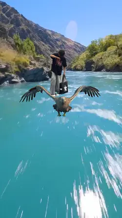 viral video