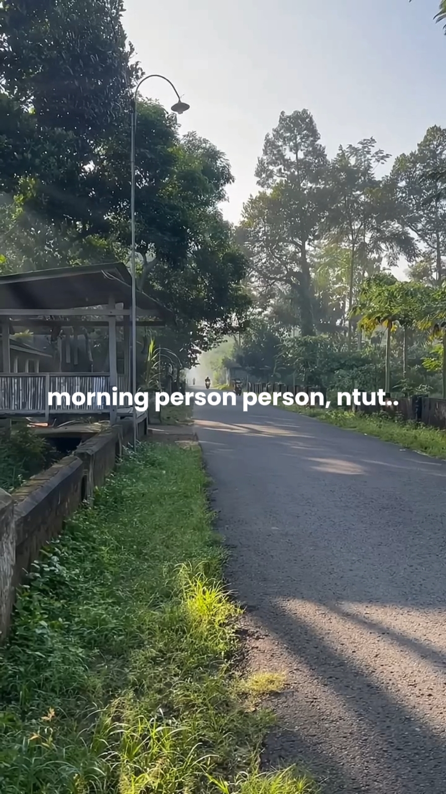 Persona De La Mañana
