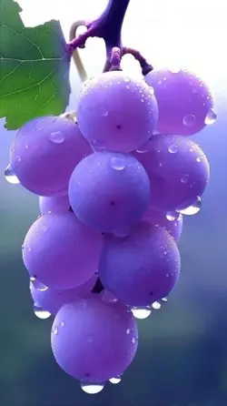buah segar