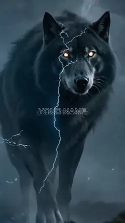 WOLF NEW EDIT
