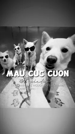 2 ẢNH GIẬT GIẬT CHÁY