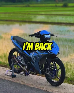 SURPRISE I'M BACK HD