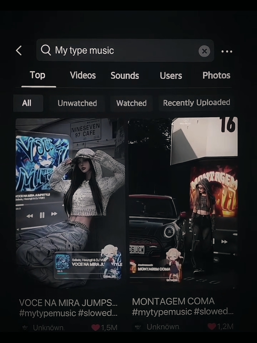 Meu tipo de música 