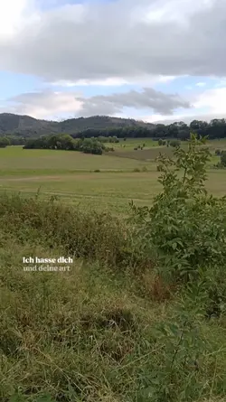 ich hasse dich