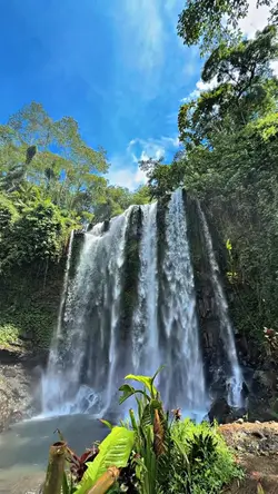 1 VIDEO JERNIH