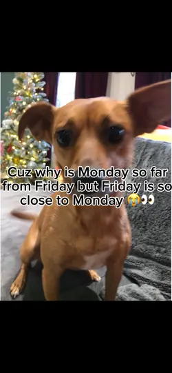 Monday and Friday😩😭